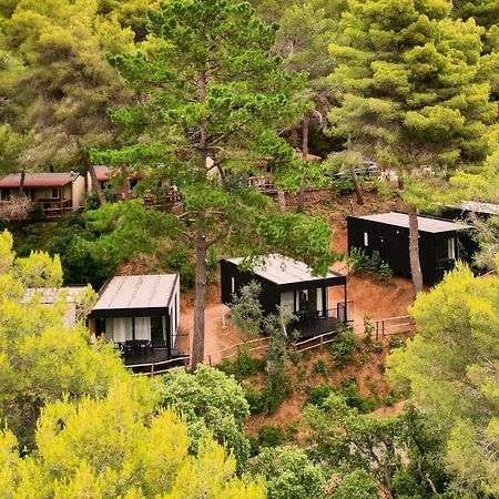 Le Pianacce Camping Village 카스타니에토카르두치 외부 사진