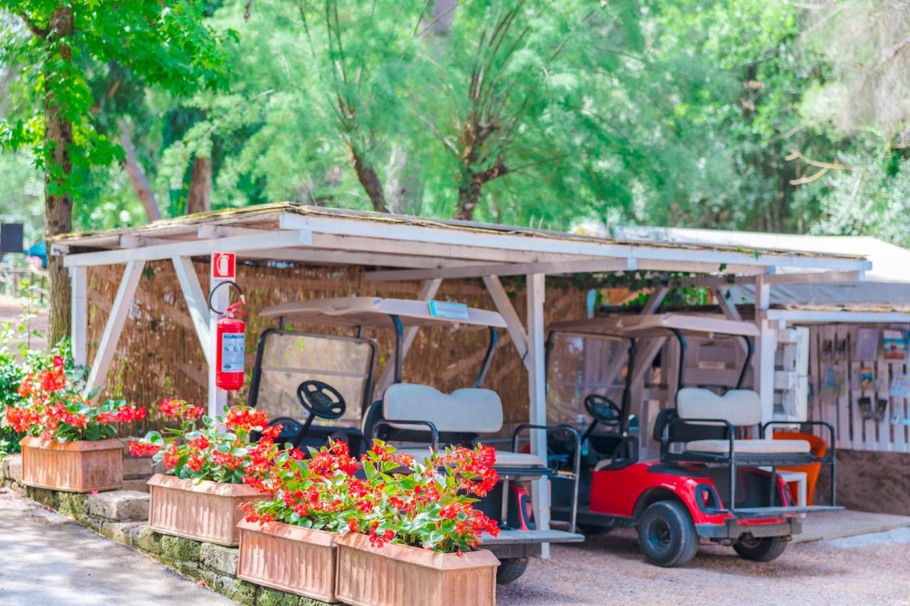 Le Pianacce Camping Village 카스타니에토카르두치 외부 사진