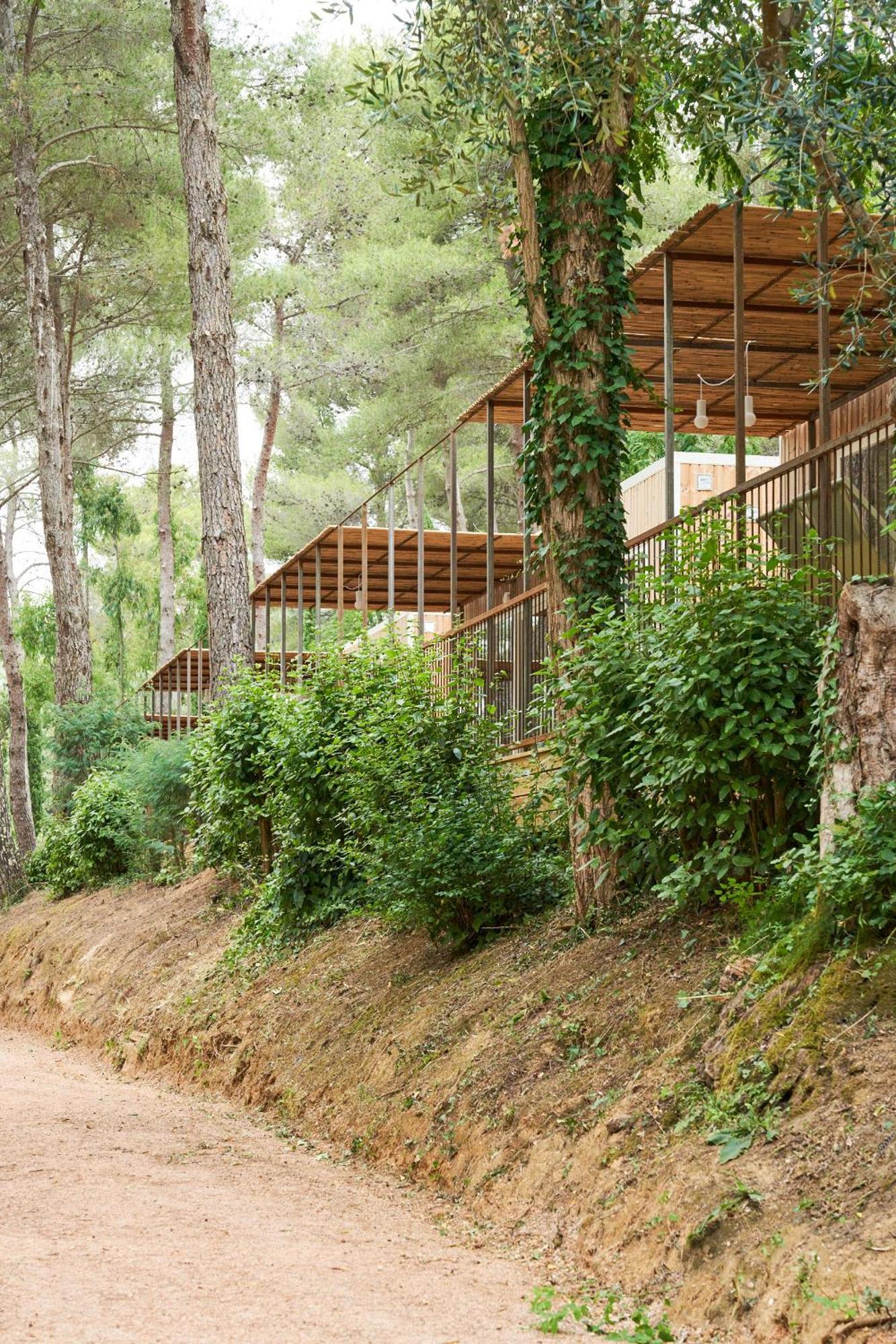 Le Pianacce Camping Village 카스타니에토카르두치 외부 사진